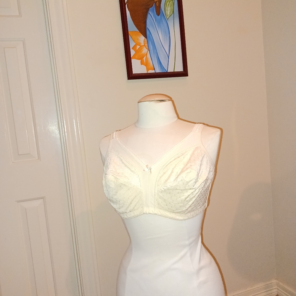 Dominique intimate apparel